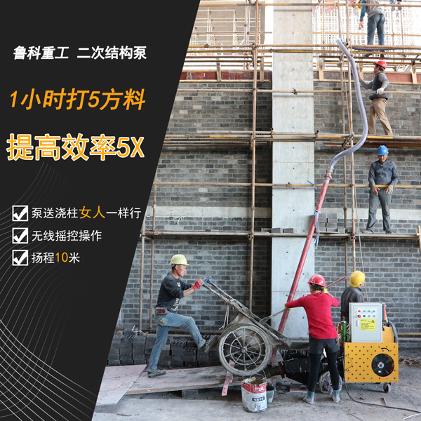 九騰二次結(jié)構(gòu)輸送泵