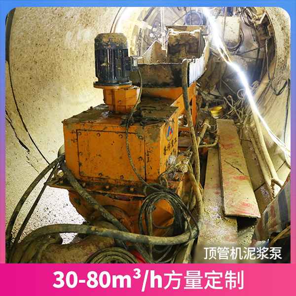 海南頂管機(jī)泥漿泵.jpg