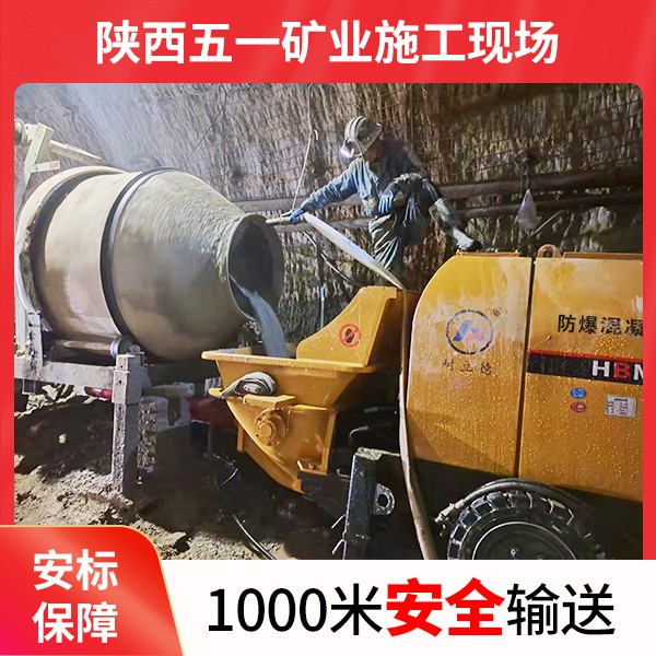 煤礦專用混凝土泵.jpg 煤礦專用混凝土泵.jpg