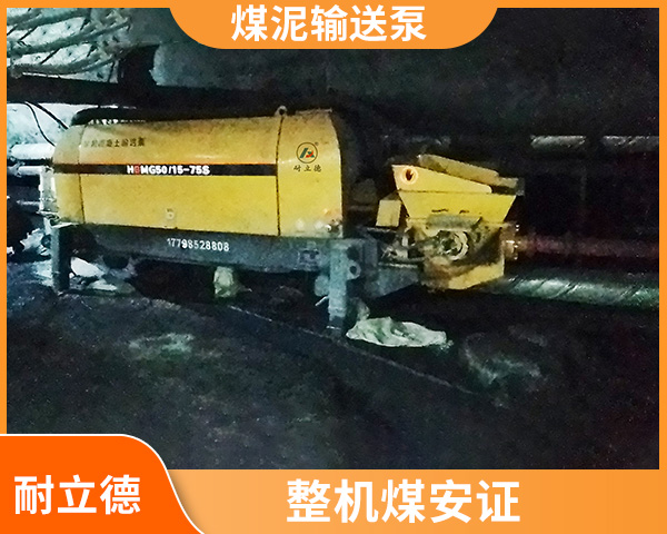 煤泥泵送機(jī).jpg