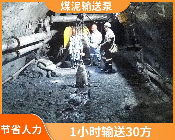 煤泥柱塞泵.jpg 煤泥柱塞泵.jpg