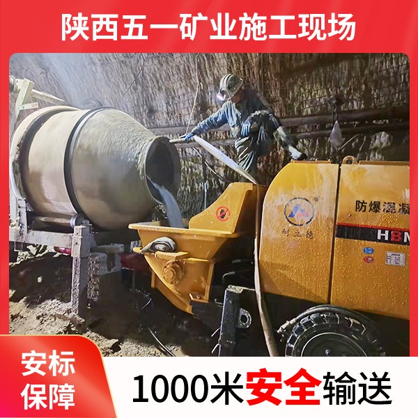 防爆混凝土輸送泵.jpg 防爆混凝土輸送泵.jpg