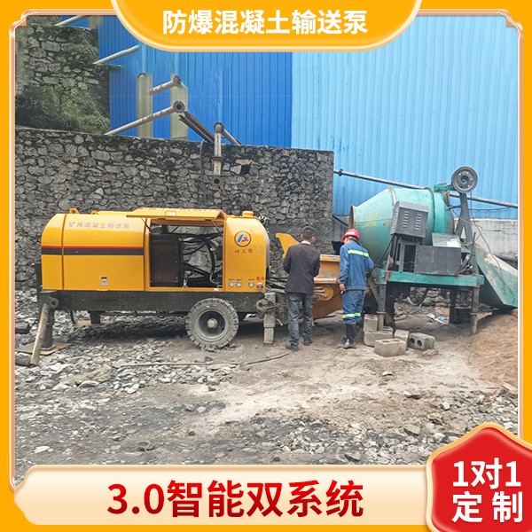 煤礦礦井混凝土泵.jpg 煤礦礦井混凝土泵.jpg